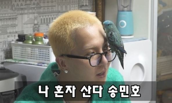 [추천] 애쉬크로프트 긴즈버그 사이즈 비교 영상