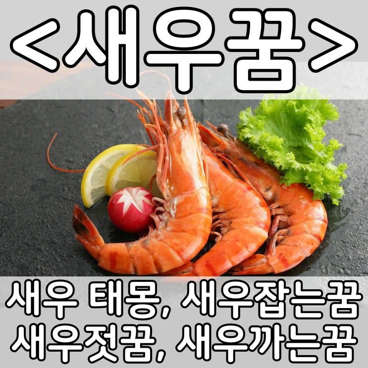  [쉬운 꿈해몽] 새우꿈 :: 새우 태몽, 새우잡는꿈, 새우젓꿈, 새우까는꿈