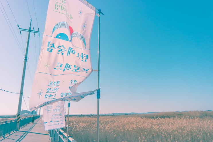  탄도항
