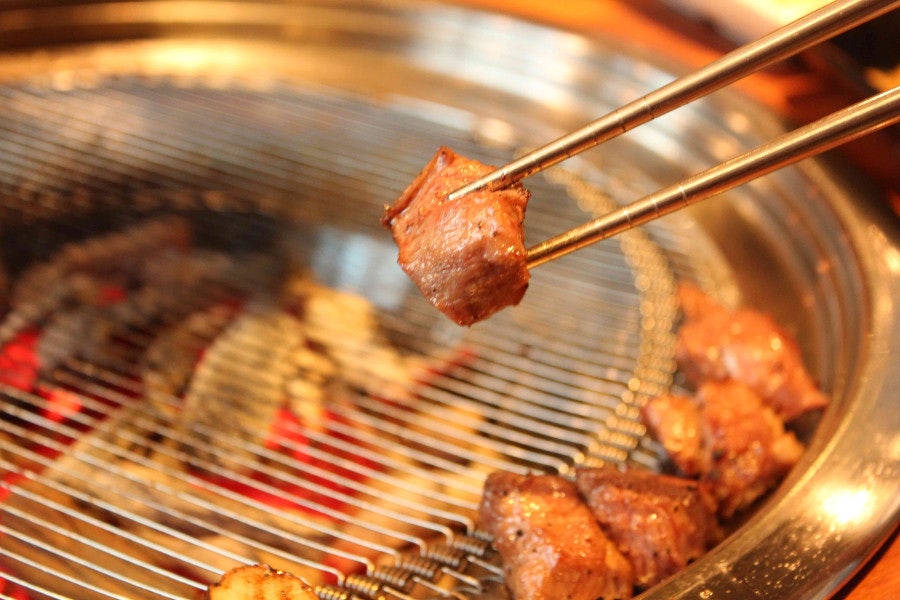 램하이 사진 6