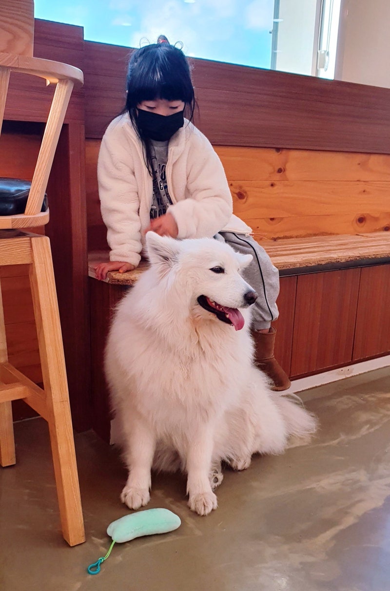 사진 2