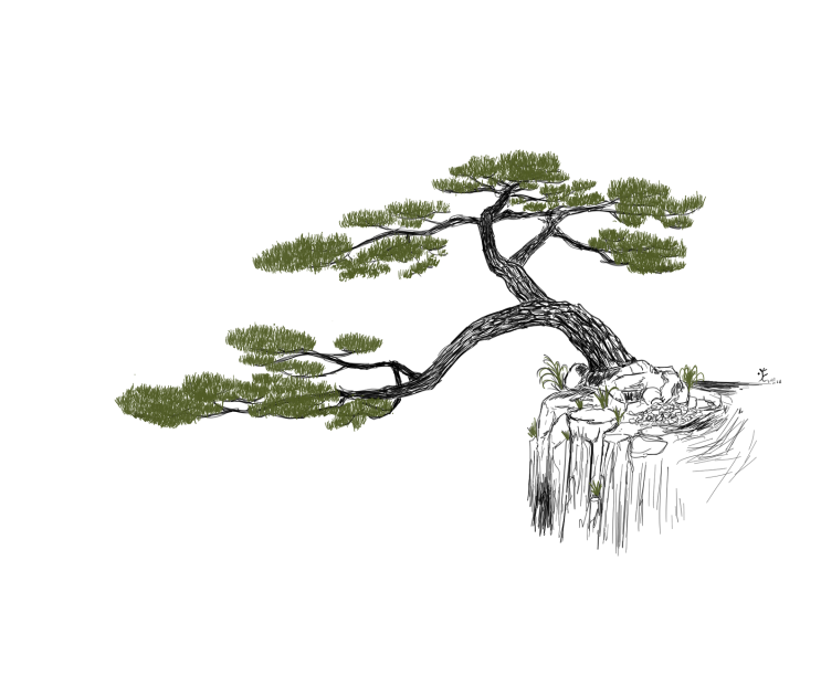  나무그림 20220128