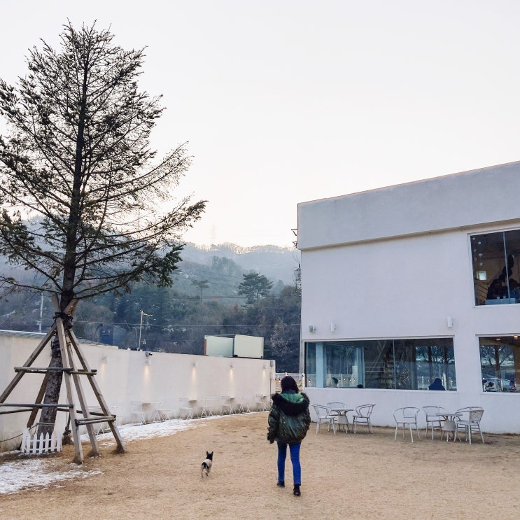  동두천 멜팅 애견카페 melting 천연잔디 운동장