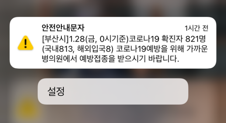  부산 코로나 확진자 800명대 폭증