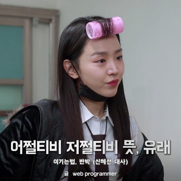 어쩔티비 저쩔티비 뜻, 유래, 이기는법, 반박 (SNL 신혜선 대사) 어쩔티비 저쩔티비 뜻, 유래, 이기는법, 반박 (SNL 신혜선 대사)