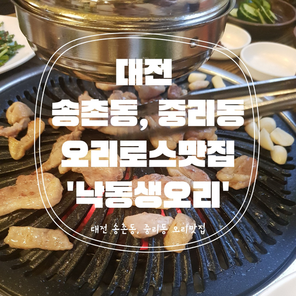  [대전맛집] 송촌동 &중리동 생오리참숯구이맛집 '낙동생오리'