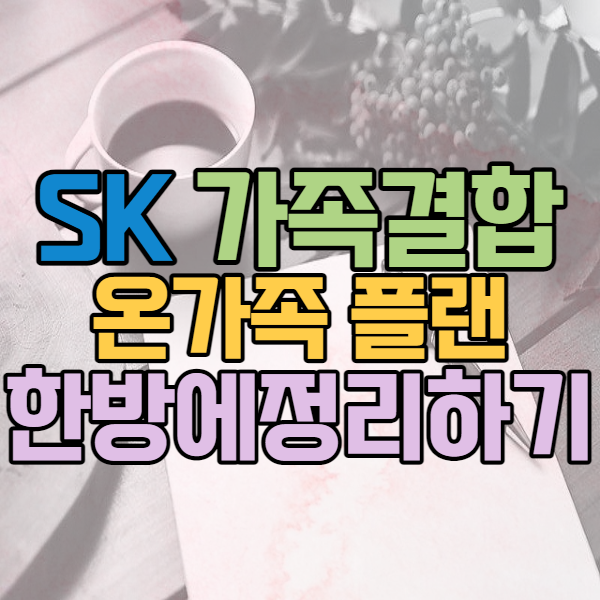 SK 온가족플랜 가족결합 한방에 보여드림 SK 온가족플랜 가족결합 한방에 보여드림