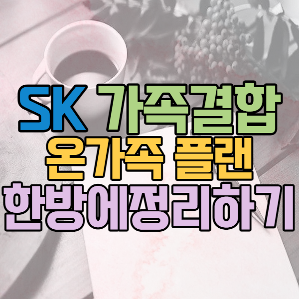 SK 온가족플랜 가족결합 한방에 보여드림