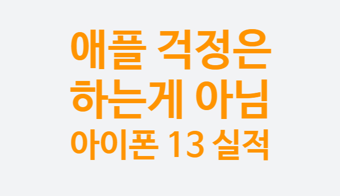 더이상 혁신 없다던 애플 아이폰 13 매출 폭발 어닝 서프라이즈 주가 전망 (매출총이익 43.8%)