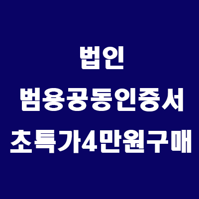  부동산 법인 운영: 법인 범용공동인증서 초특가할인 4만원에 구매하기
