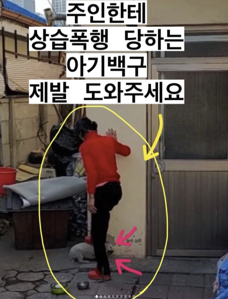 캐나다 한국일보 : “생후 3개월 아기 살해혐의 억울해\, image size:800x1049