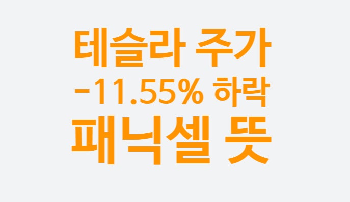 테슬라 -11.55% 주가 하락 이유 800슬라 (매물대 확인 93% 물렸다.) 공급망 문제 대체 뭐야? 패닉셀 뜻