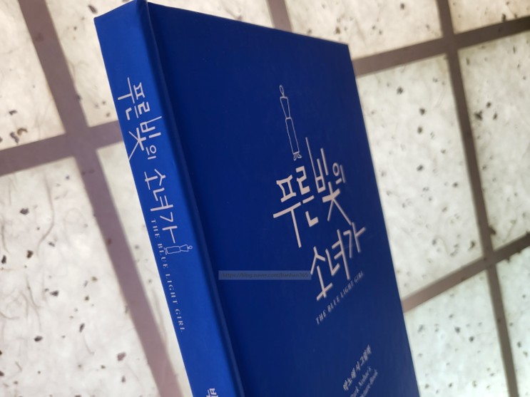 푸른 빛의 소녀가 - 박노해 시 그림책