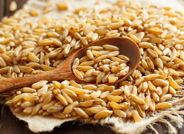 카무트쌀 호라산밀 효능 추천 당뇨와 다이어트에 좋은쌀