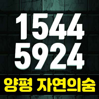 양평 조현리 자연의숨 타운하우스 용문면에 위치한 용문산 조망권 전원생활 하기 좋은 입지!분양/매매 양평 조현리 자연의숨 타운하우스 용문면에 위치한 용문산 조망권 전원생활 하기 좋은 입지!분양/매매