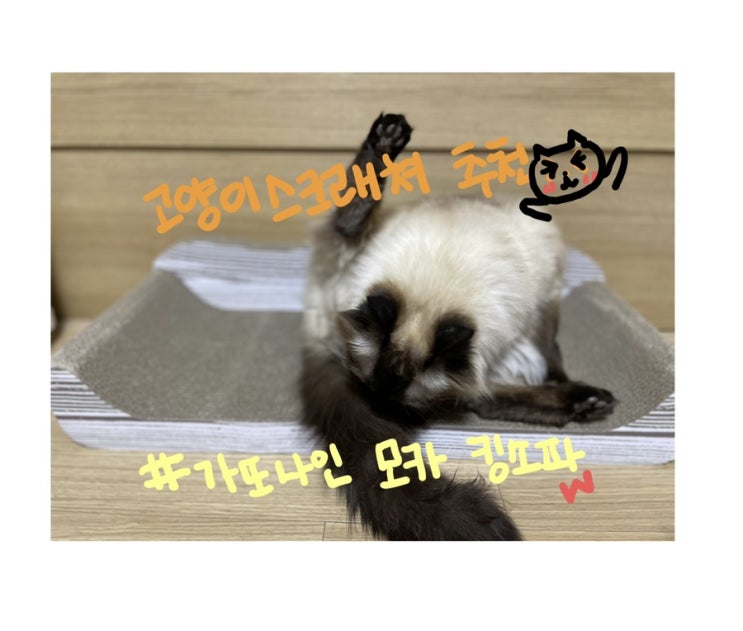  고양이스크래쳐 추천 #가또나인 모카시리즈 킹소파 고양이스크래쳐 특대사이즈