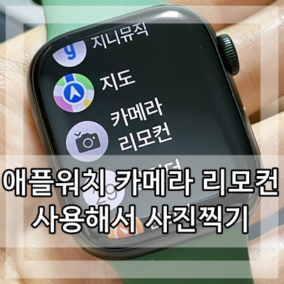  애플워치 카메라 리모컨 사용법 사진 찍기