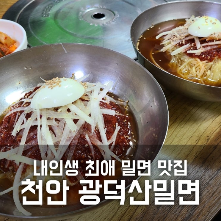 광덕산밀면 내인생 최애 밀면 / 천안 맛집 추천