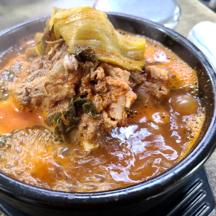  뼈해장국이 맛있는 제주 비자림 도민맛집 비지곶식당 내돈내산 후기