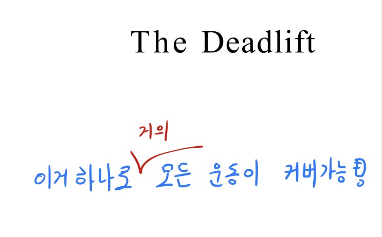  거의 모든 근육을 활성화 시킨다!! ( 데드리프트 자세, 데드리프트 근육, 컨벤셔널 데드리프트, 역도식 데드리프트)