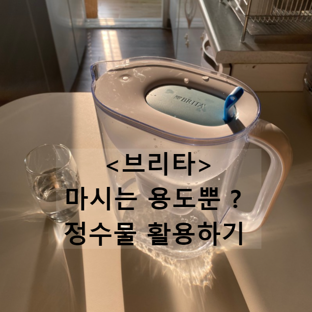 가습기 추천, 설날에 가습기는 필수, 가습기 물은 브리타 정수기 물 사용하기. 가습기 추천, 설날에 가습기는 필수, 가습기 물은 브리타 정수기 물 사용하기.