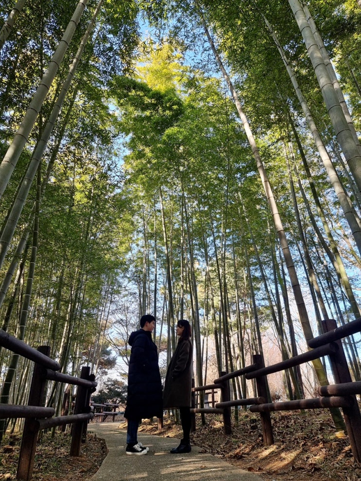 [전주2박3일] 도로공사수목원 현대옥본점 콩나물국밥