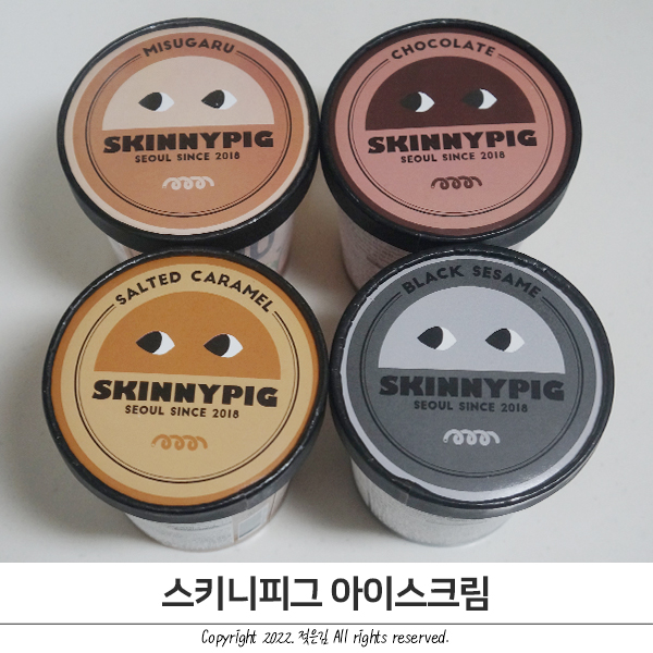 키토 아이스크림 스키니피그 할미입맛 맛별 후기 (미숫가루/초콜릿/솔티드카라멜/흑임자) 키토 아이스크림 스키니피그 할미입맛 맛별 후기 (미숫가루/초콜릿/솔티드카라멜/흑임자)