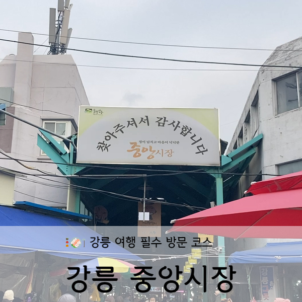  [강원도/강릉] 강릉 중앙시장 먹거리 모음 (feat. 한신회센터)