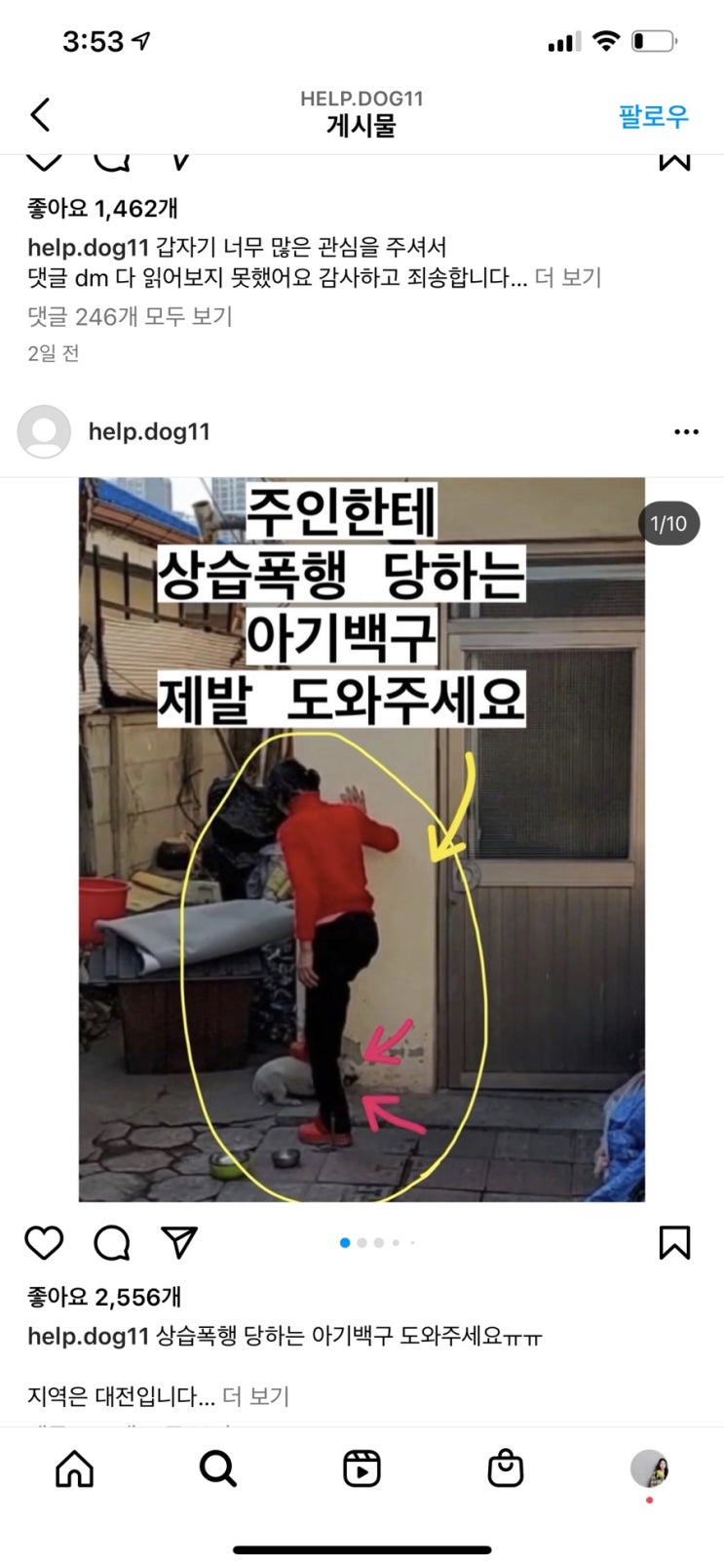  대전 백구 강아지 학대 폐지할머니 인스타계정 이게뭐야!