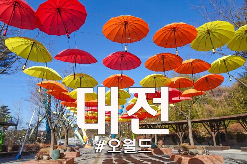 대전 가볼만한곳 오월드 대전 동물원 놀이공원 볼거리 데이트 코스 : 네이버 블로그