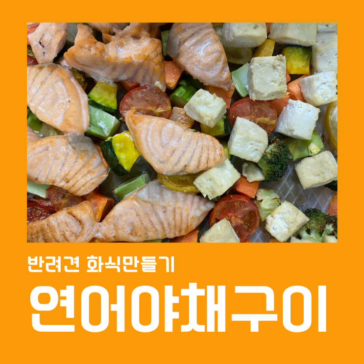  에어프라이어 연어구이, 반려견과 함께 먹어요!