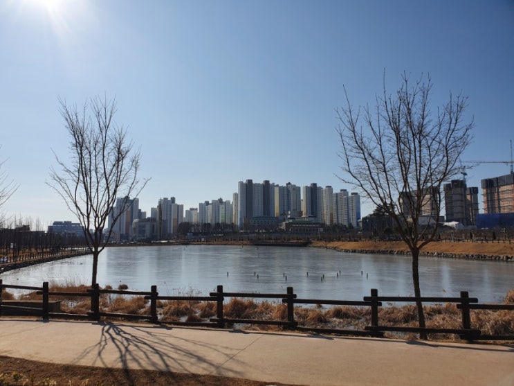  평택 공원 산책할만한 모산근린공원