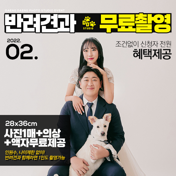  반려견 무료 사진