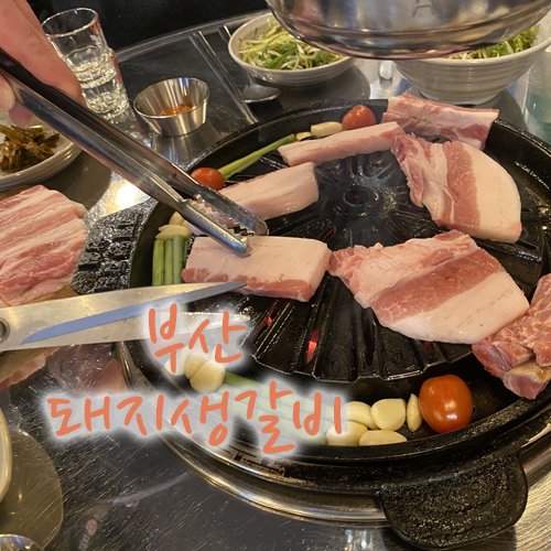  부산 생돼지갈비 맛있는곳, 돼지생갈비상회 수영점