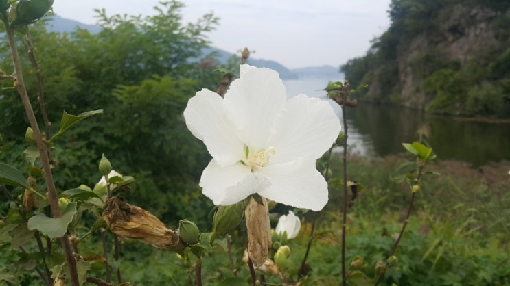  이천법무사 상속등기