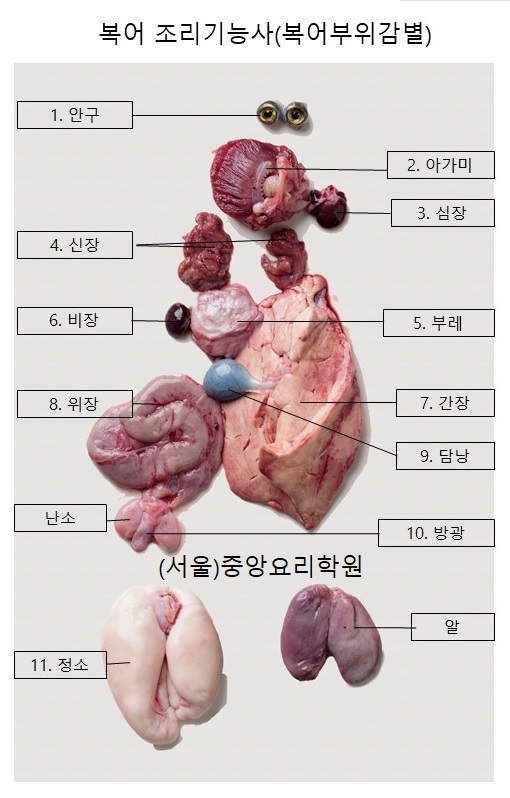  조리기능장 - 복어부위감별