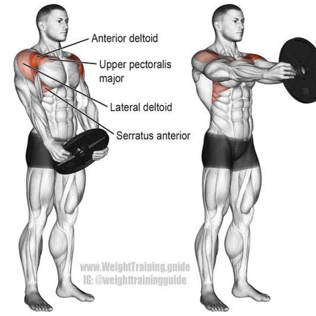  [운동일지] 불광 에이블짐 개인PT - 10회차 (가슴&어깨 루틴/ PLATE FRONT RAISE, DIP MACHINE,ISO - LATERAL DECLINE PRESS)