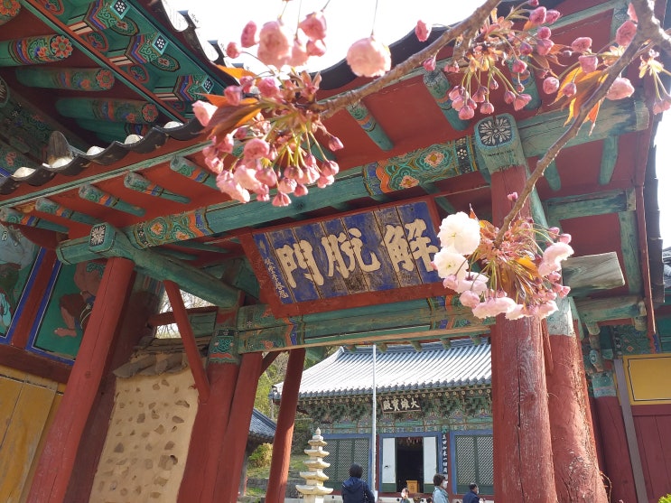  (유튜브 영상) 전국의 매력적인 산사 베스트 7