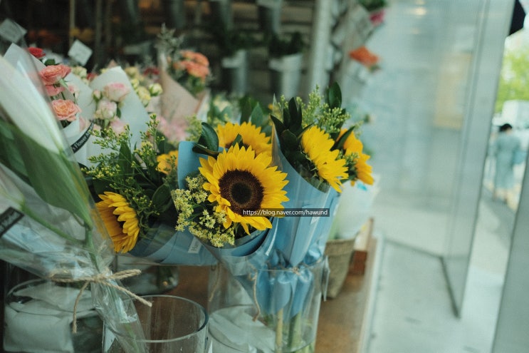  맨땅에 '스톡사진' 시작해보기