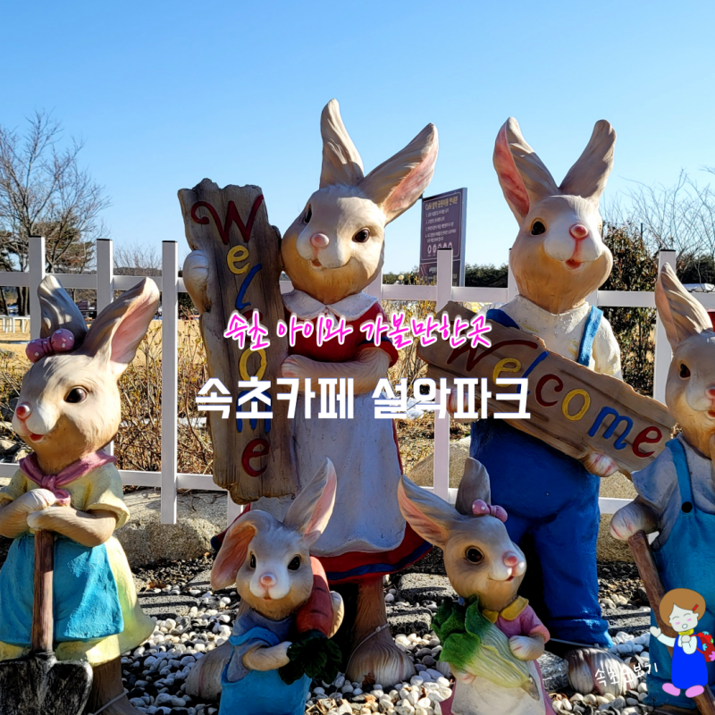 사진 3