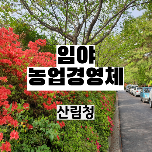 임야(산림)대상 농업경영체 등록 팁_정부지원 가능합니다