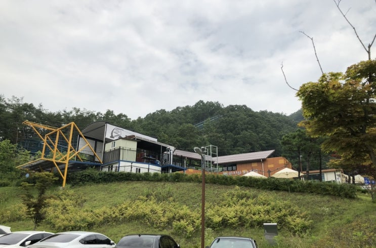  [충북] 단양여행 가볼만한곳 추천 (만천하스카이워크, 알파인코스터, 단양강잔도)
