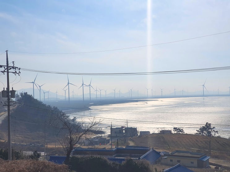  전남 영광 숙소 백수해안도로 애견펜션 마리나베이