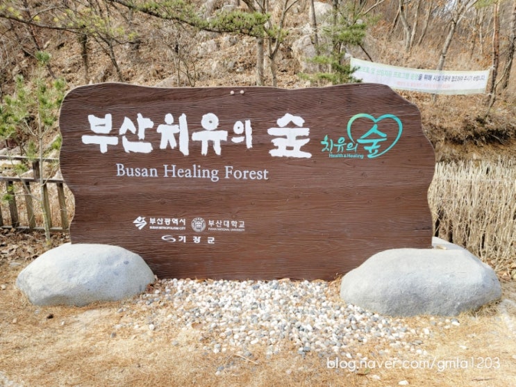  부산 산책하기 좋은 곳 치유의 숲