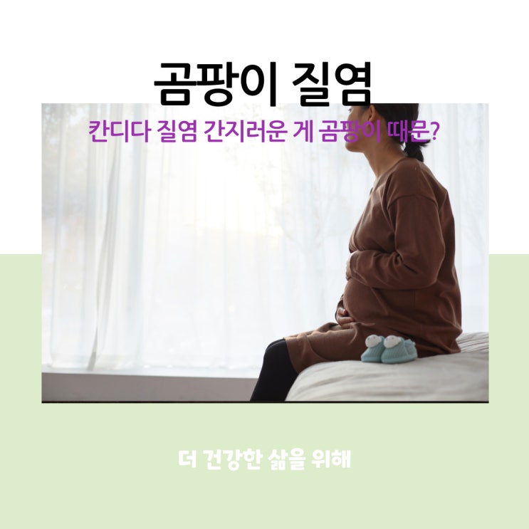  곰팡이 질염, 칸디다 질염 간지러운 게 곰팡이 때문?