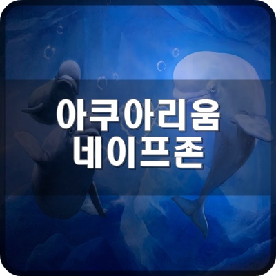  롯데월드 아쿠아리움 B1F 네이처존 라이프존  구경가요.