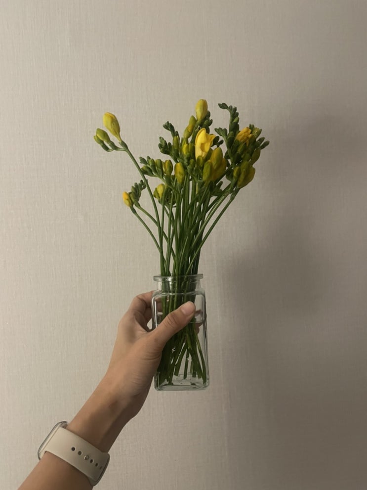 [꽃배달]200% 만족한 서프라이즈 쿠팡 꽃배달