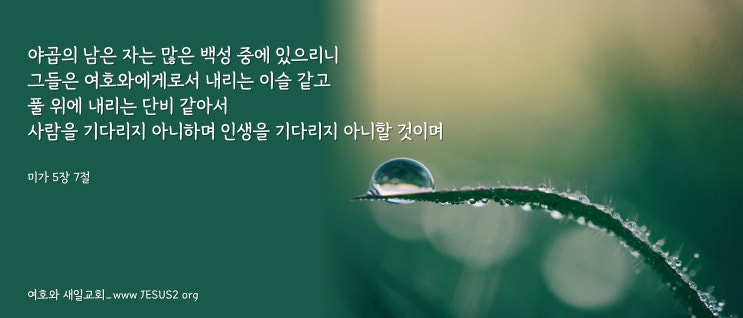 마가복음 12장 마가복음 12장