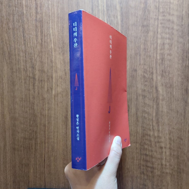  서른여덟번째. 디디의 우산