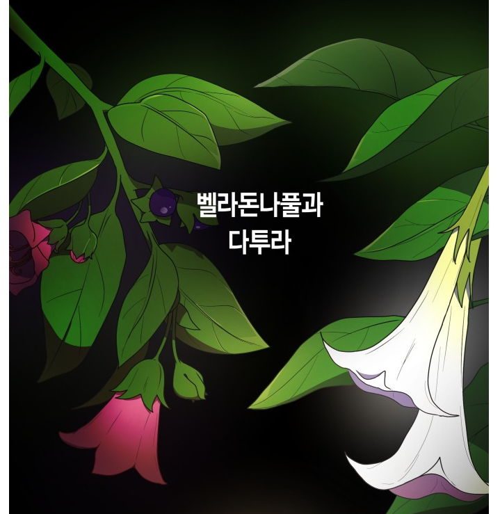 대충 알아들었지? 지금부터 서로 죽여라. / 로맨스판타지, 로판의 독
